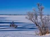 Winter Prairie
