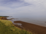 Low Tide 