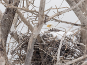 Not liking the snowfall. 