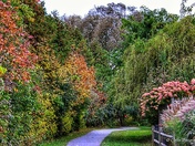 Just a walk in the Park... 