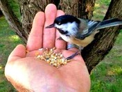 The hand that feeds you... 