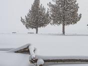 As the Snow Falls (Manitoulin Winter)