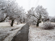 Montreal Ice stormebec 