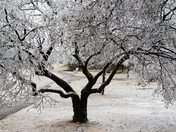More ice in Montreal