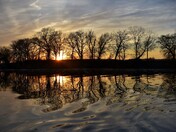 Evening in Cootes Paradise.