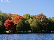 Fall colour palate