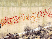 There is Always Hope