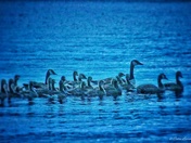 Family Time... 