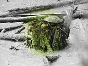 Hanging out in my Habitat!!!