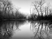 An Imperfect Perfection