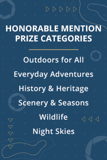 Categories