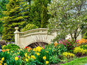 Halifax Public Garden
