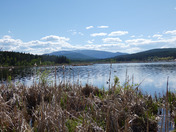 Elizabeth Lake, Cranbrook B.C.
