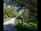 Elizabeth Lake, Cranbrook B.C.