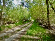 Invermere