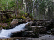 Division of Contrast