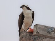Lunchtime!