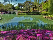 Montreal Botanical Garden