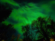 Northern Lights