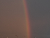 Arc en Ciel