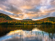 In the morning light