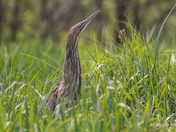You CANT SEE ME!!  