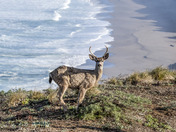 Point Reyes National Seashore