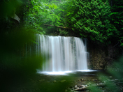 It doesn't get more lush than this