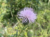 Indiana Dunes National Park