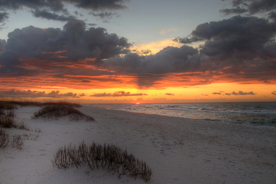 Gulf islands national seashore 