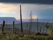 Grand Canyon North Rim