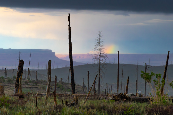 Grand Canyon North Rim