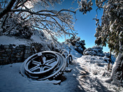 Angeles National Forest