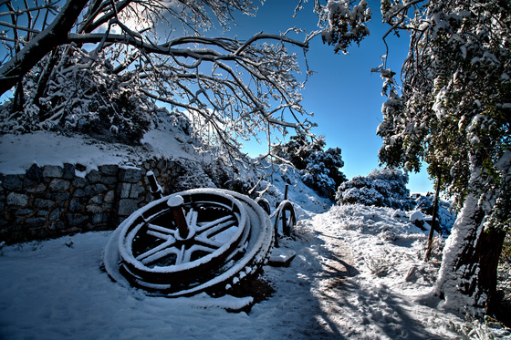 Angeles National Forest
