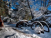 Angeles National Forest