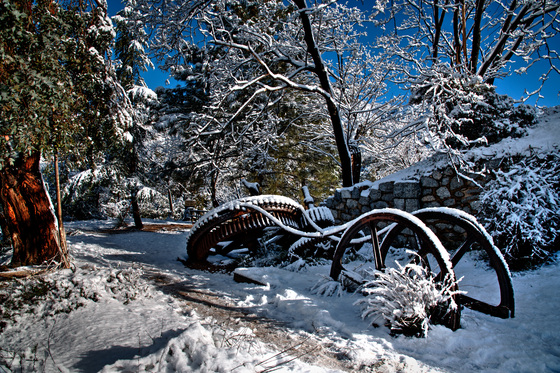 Angeles National Forest