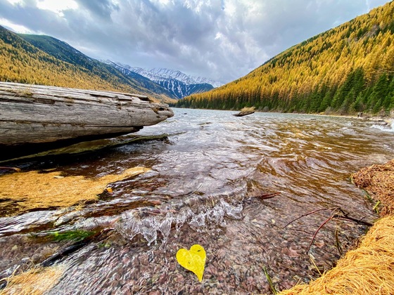 Stanton Lake Trail #146, Flathead National Forest
