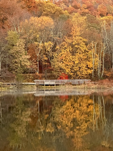 Blue Ridge Parkway 
