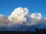 Pyrocumulus