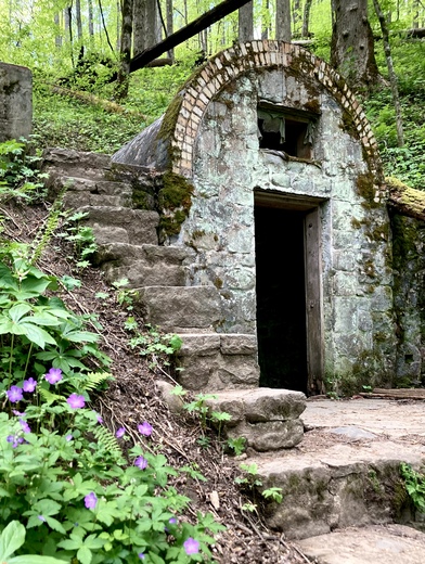Great Smoky Mountains National Park 