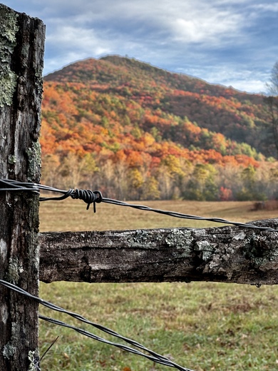 Great Smoky Mountains National Park 