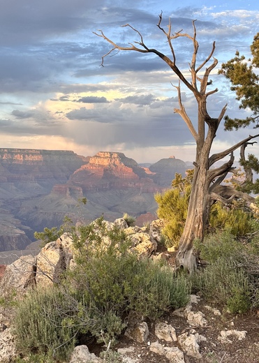 Grand Canyon National Park 