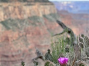 Grand Canyon National Park 
