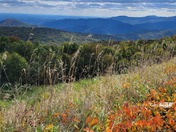 Shenandoah National Park