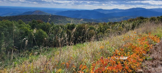 Shenandoah National Park