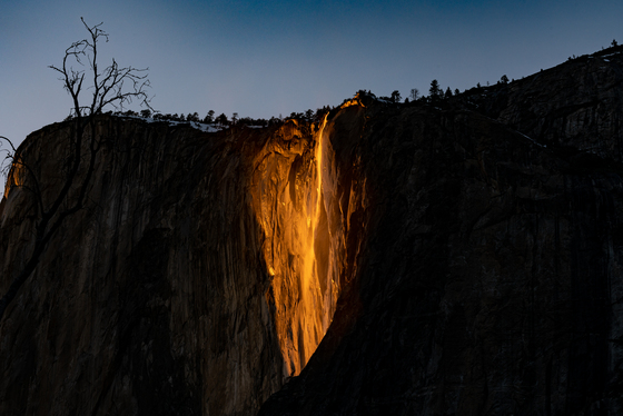 Yosemite National Park 