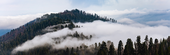 Sequoia National Forest