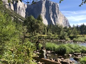 Yosemite National Park