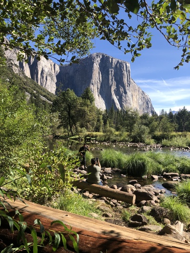 Yosemite National Park