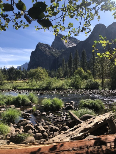 Yosemite National Park